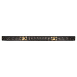 Nexy Belt - Black Studded Gold - Streets Ahead