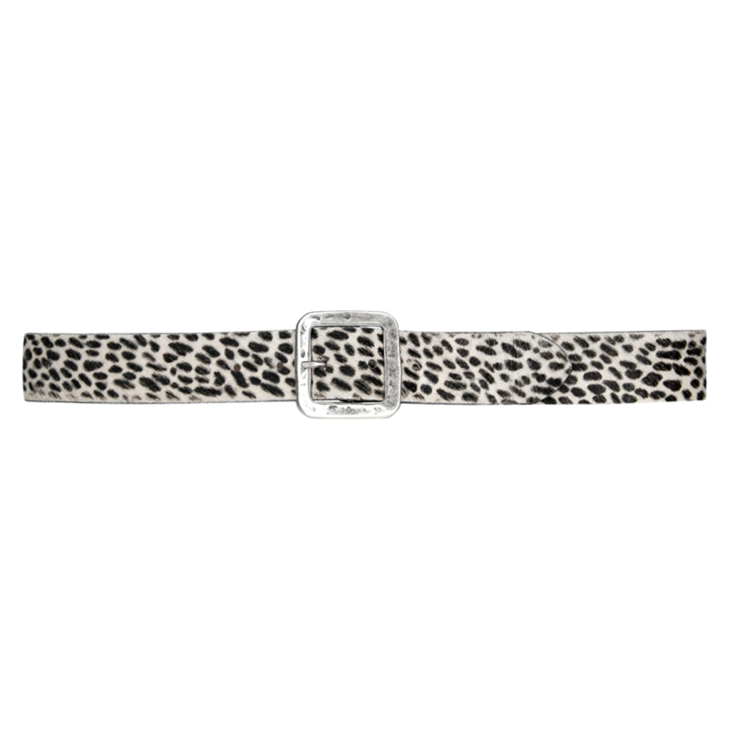 Neve Belt