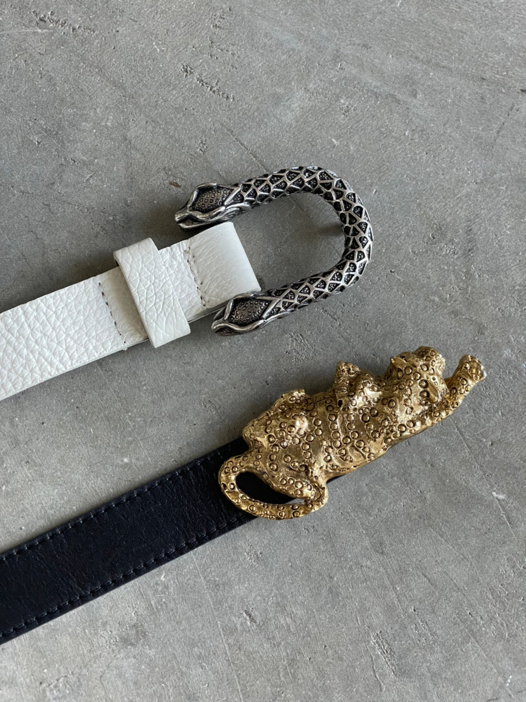 Snake - belt - StreetsAheadInc